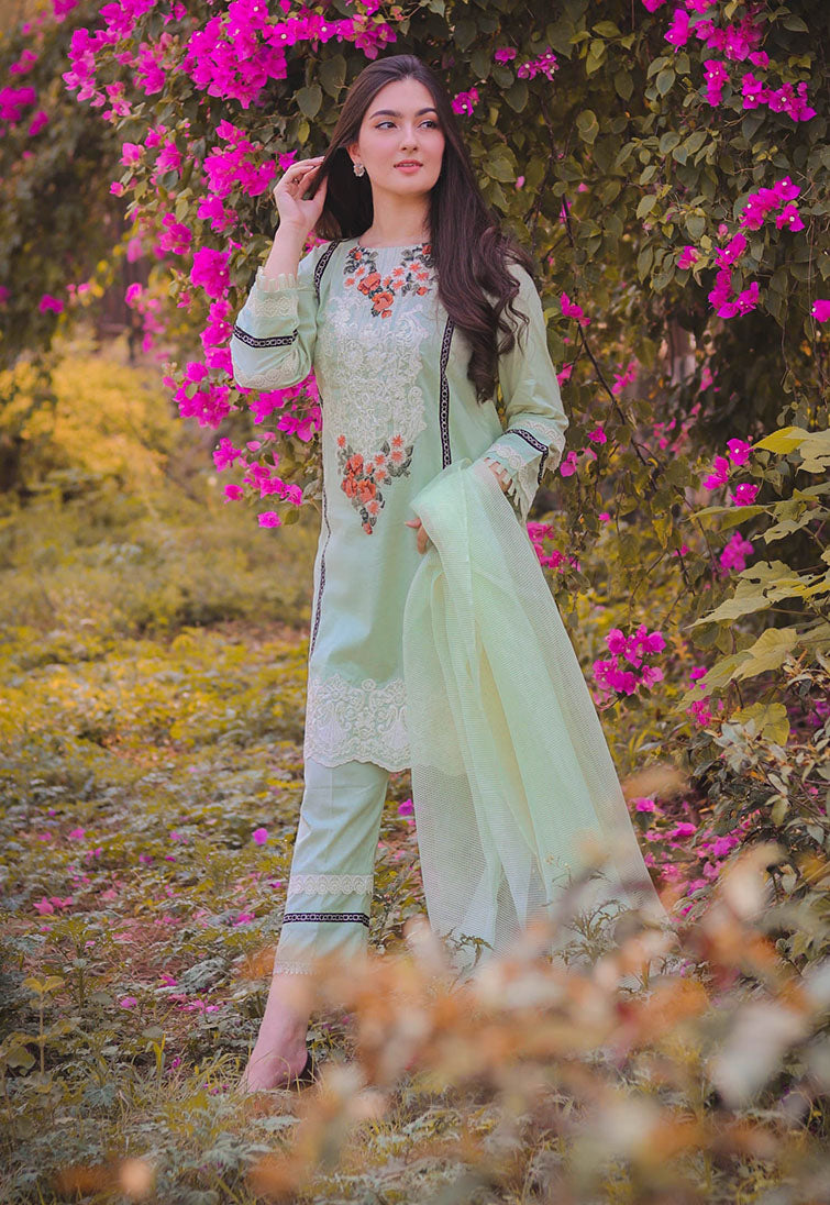 Maheen X Pistachio White