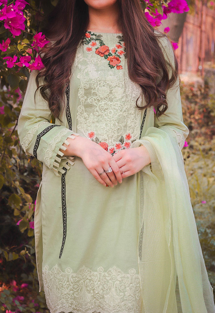 Maheen X Pistachio White